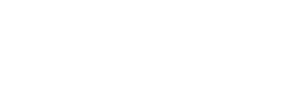 wild wish florals stacked logo